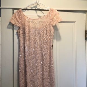 Calvin Klein Sequined Pink Dress
